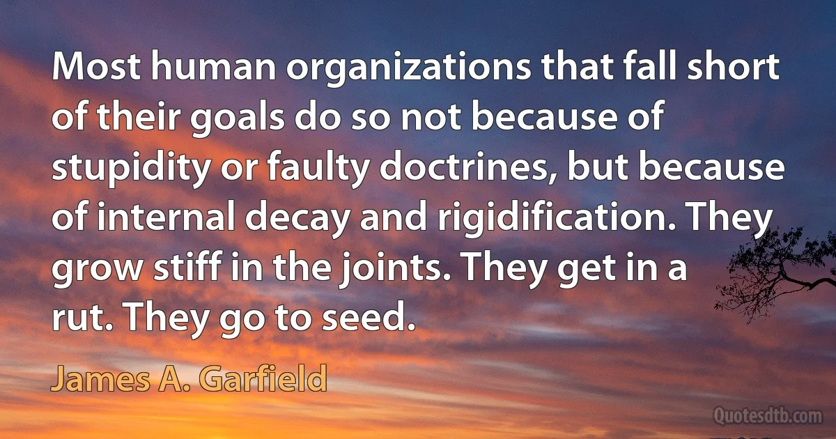 Most human organizations that fall short of their goals do so not because of stupidity or faulty doctrines, but because of internal decay and rigidification. They grow stiff in the joints. They get in a rut. They go to seed. (James A. Garfield)