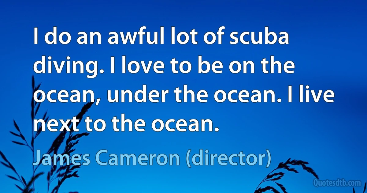 I do an awful lot of scuba diving. I love to be on the ocean, under the ocean. I live next to the ocean. (James Cameron (director))