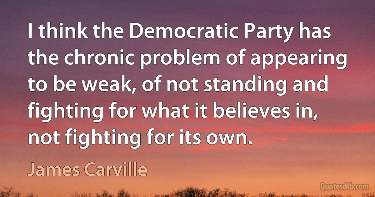 I think the Democratic Party has the chronic problem of appearing to be weak, of not standing and fighting for what it believes in, not fighting for its own. (James Carville)