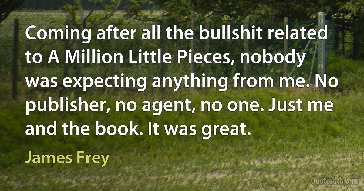 Coming after all the bullshit related to A Million Little Pieces, nobody was expecting anything from me. No publisher, no agent, no one. Just me and the book. It was great. (James Frey)