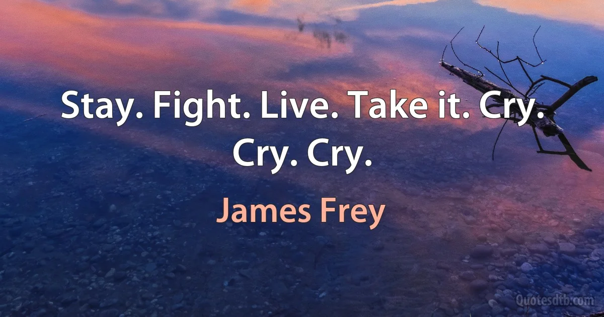 Stay. Fight. Live. Take it. Cry. Cry. Cry. (James Frey)