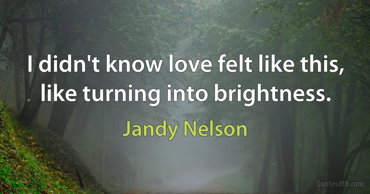 I didn't know love felt like this, like turning into brightness. (Jandy Nelson)