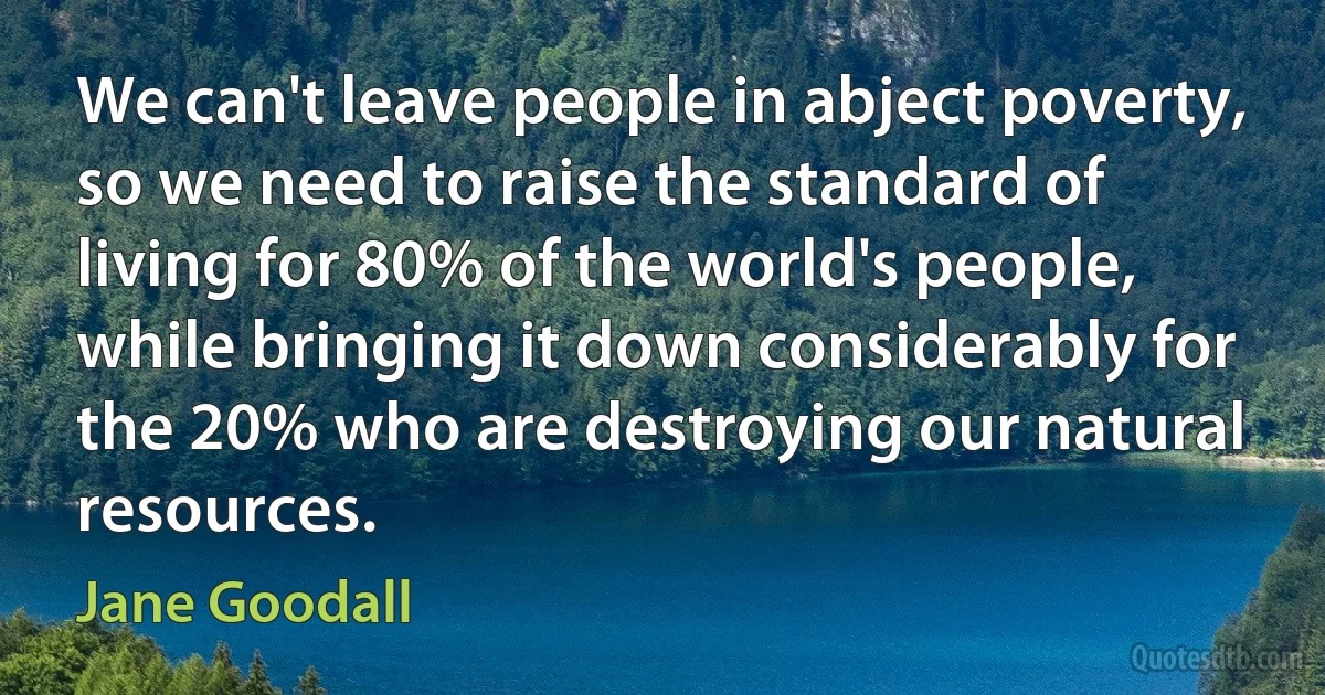 We can't leave people in abject poverty, so we need to raise the standard of living for 80% of the world's people, while bringing it down considerably for the 20% who are destroying our natural resources. (Jane Goodall)