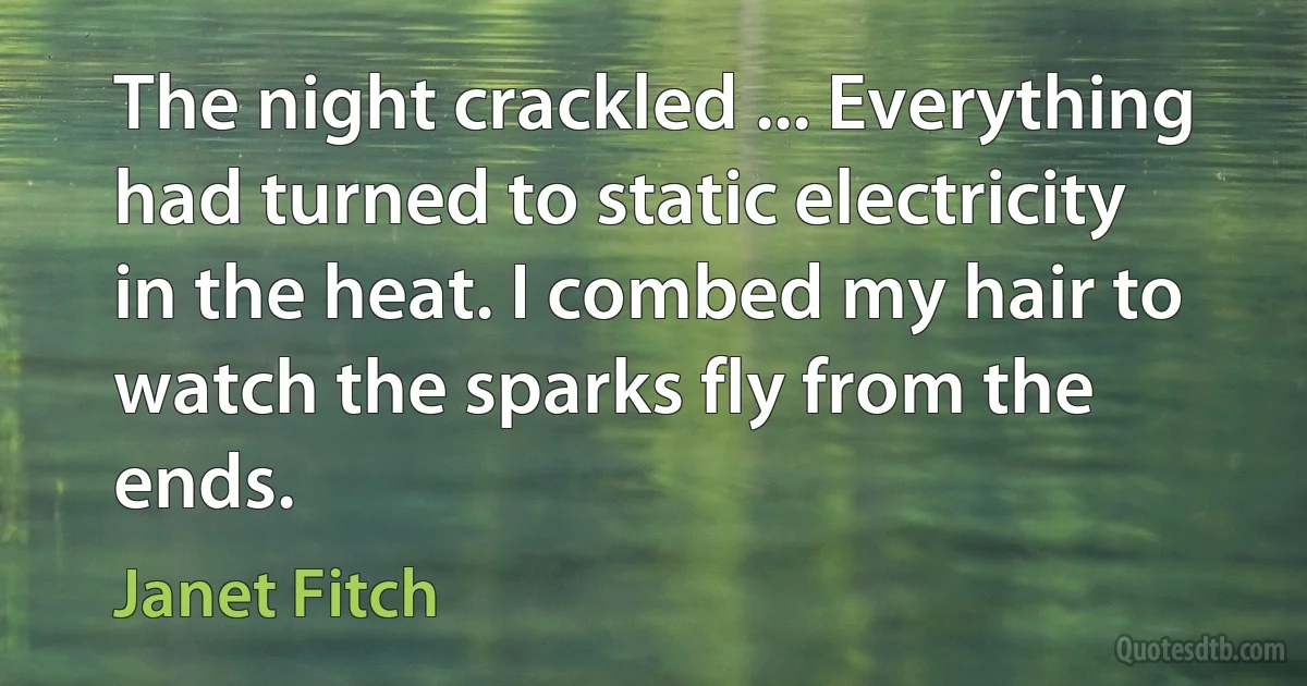 The night crackled ... Everything had turned to static electricity in the heat. I combed my hair to watch the sparks fly from the ends. (Janet Fitch)