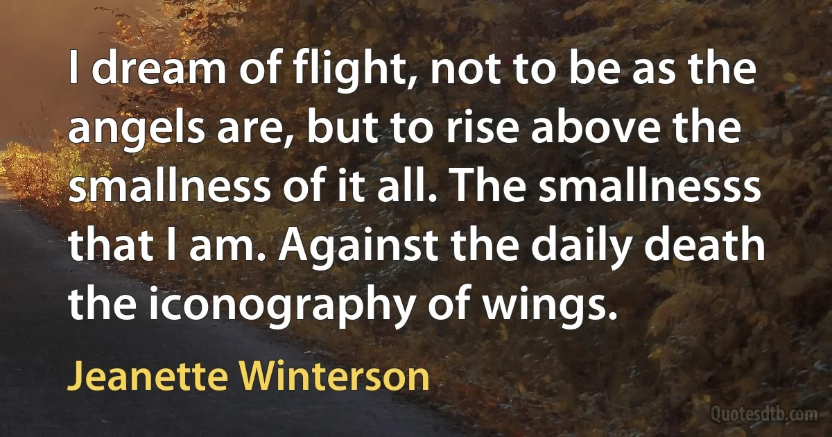 I dream of flight, not to be as the angels are, but to rise above the smallness of it all. The smallnesss that I am. Against the daily death the iconography of wings. (Jeanette Winterson)