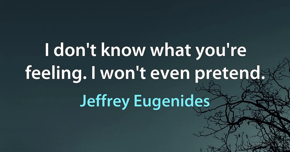 I don't know what you're feeling. I won't even pretend. (Jeffrey Eugenides)