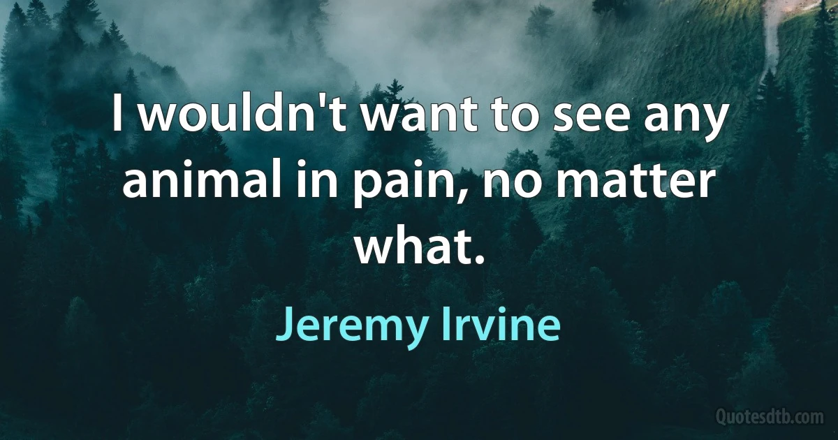 I wouldn't want to see any animal in pain, no matter what. (Jeremy Irvine)