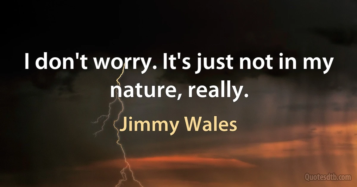 I don't worry. It's just not in my nature, really. (Jimmy Wales)