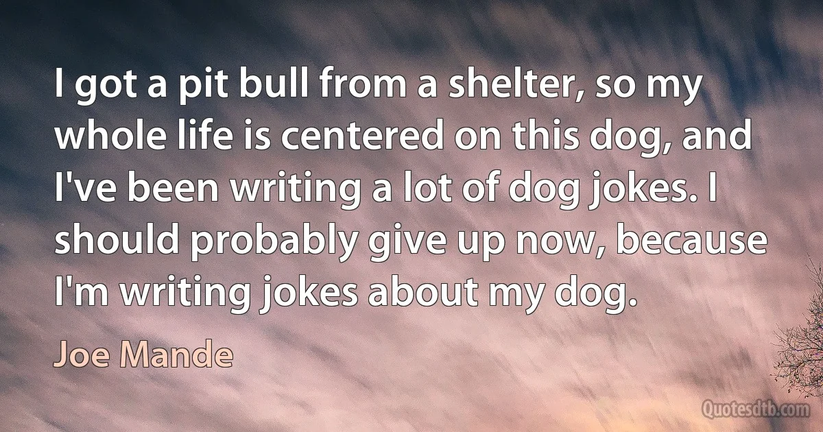 I got a pit bull from a shelter, so my whole life is centered on this dog, and I've been writing a lot of dog jokes. I should probably give up now, because I'm writing jokes about my dog. (Joe Mande)