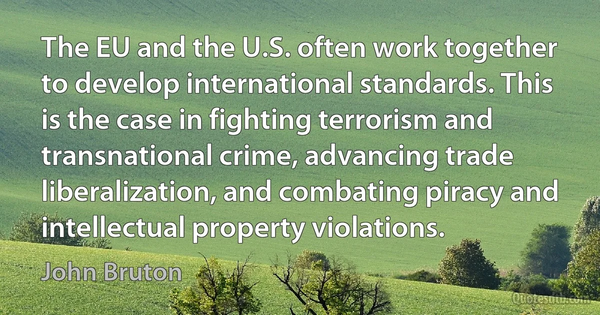 The EU and the U.S. often work together to develop international standards. This is the case in fighting terrorism and transnational crime, advancing trade liberalization, and combating piracy and intellectual property violations. (John Bruton)