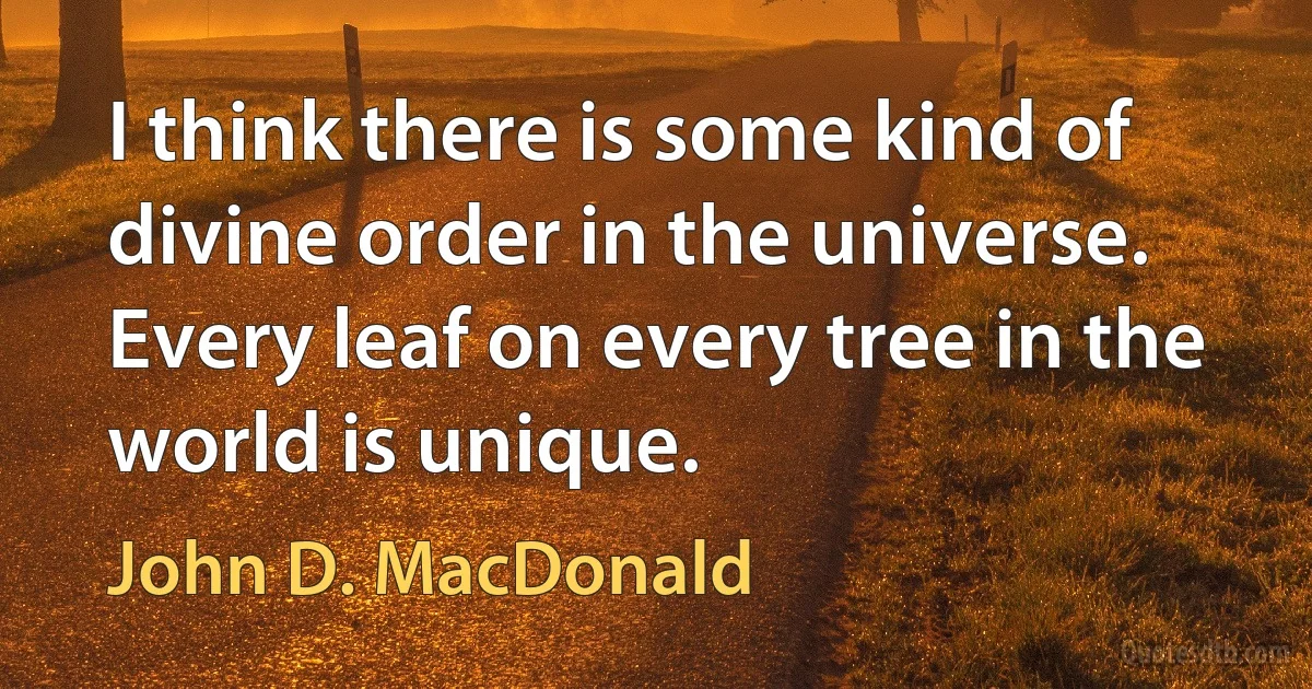 I think there is some kind of divine order in the universe. Every leaf on every tree in the world is unique. (John D. MacDonald)