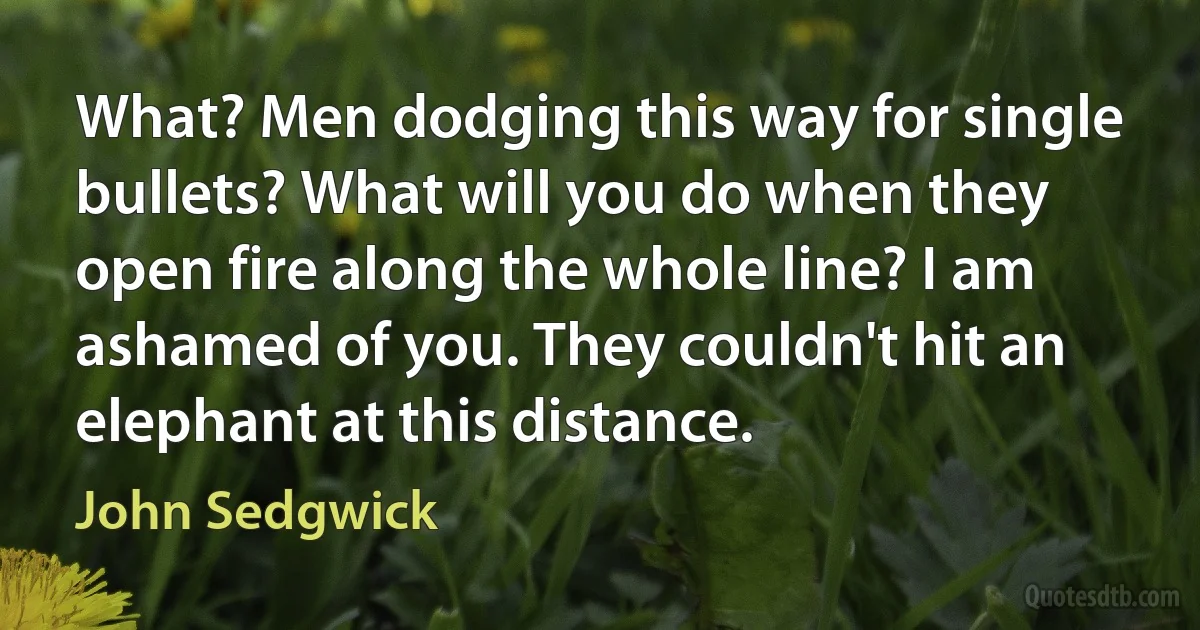 What? Men dodging this way for single bullets? What will you do when they open fire along the whole line? I am ashamed of you. They couldn't hit an elephant at this distance. (John Sedgwick)