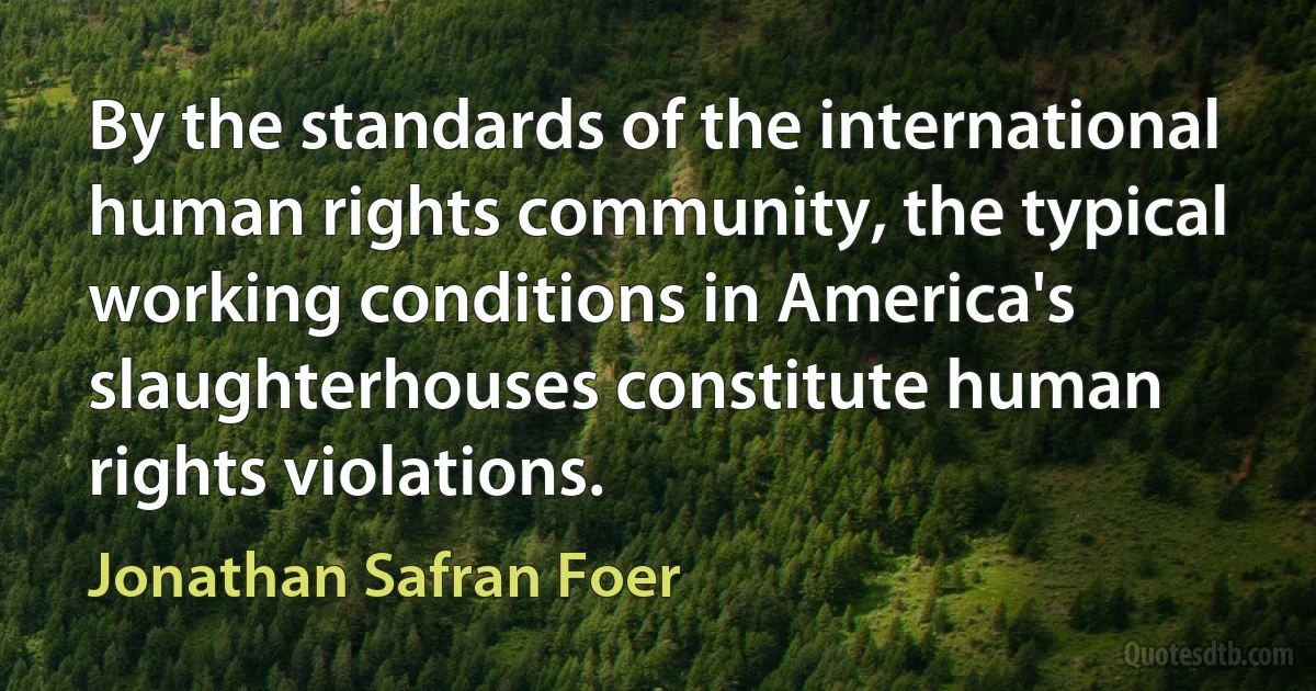 By the standards of the international human rights community, the typical working conditions in America's slaughterhouses constitute human rights violations. (Jonathan Safran Foer)