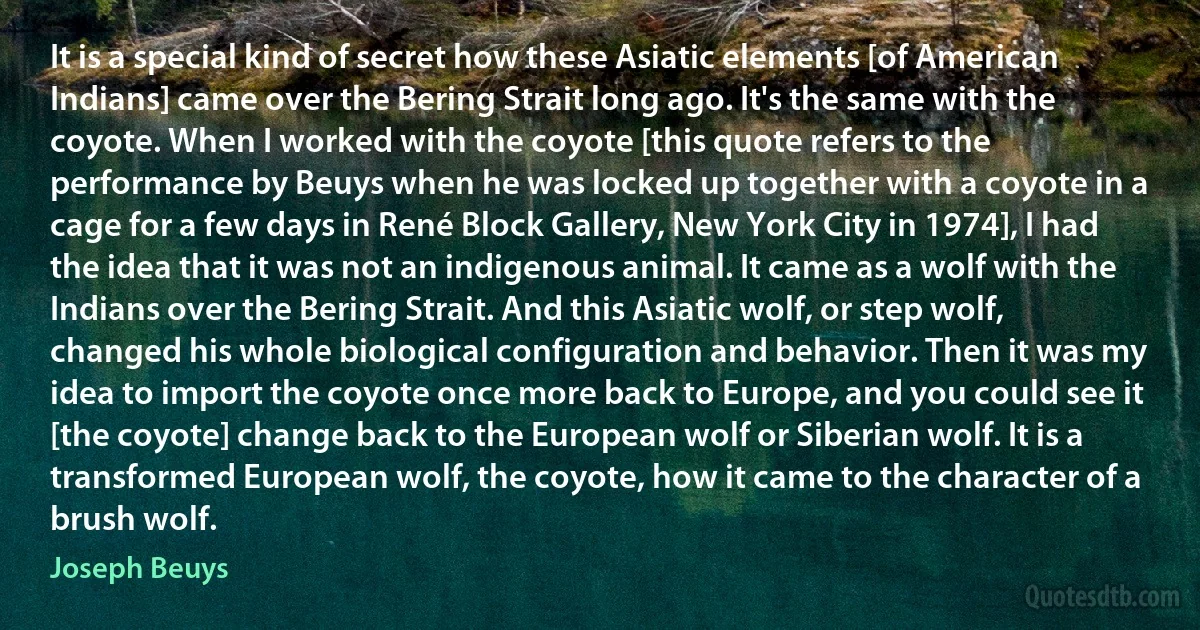 It is a special kind of secret how these Asiatic elements [of American Indians] came over the Bering Strait long ago. It's the same with the coyote. When I worked with the coyote [this quote refers to the performance by Beuys when he was locked up together with a coyote in a cage for a few days in René Block Gallery, New York City in 1974], I had the idea that it was not an indigenous animal. It came as a wolf with the Indians over the Bering Strait. And this Asiatic wolf, or step wolf, changed his whole biological configuration and behavior. Then it was my idea to import the coyote once more back to Europe, and you could see it [the coyote] change back to the European wolf or Siberian wolf. It is a transformed European wolf, the coyote, how it came to the character of a brush wolf. (Joseph Beuys)