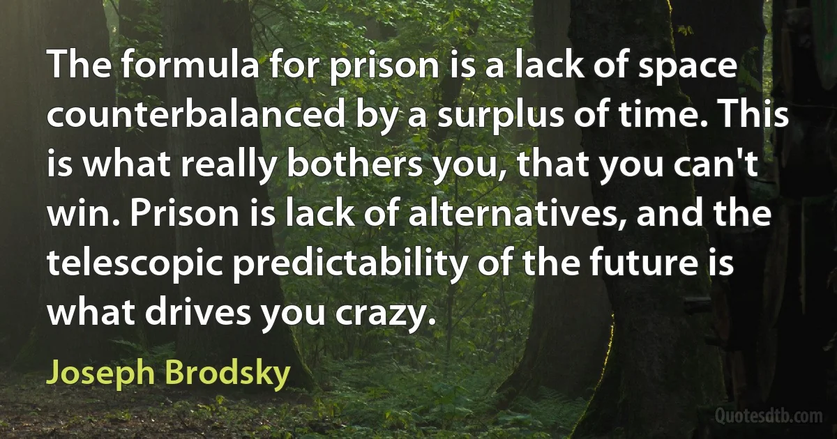 The formula for prison is a lack of space counterbalanced by a surplus of time. This is what really bothers you, that you can't win. Prison is lack of alternatives, and the telescopic predictability of the future is what drives you crazy. (Joseph Brodsky)