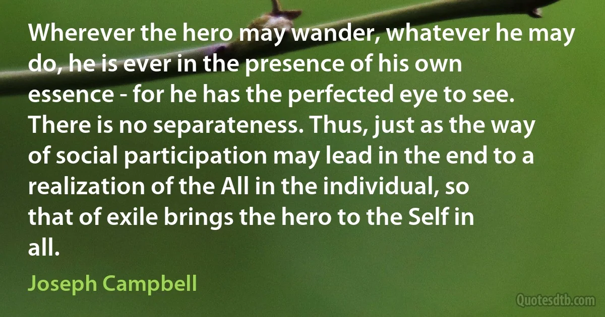 Wherever the hero may wander, whatever he may do, he is ever in the presence of his own essence - for he has the perfected eye to see. There is no separateness. Thus, just as the way of social participation may lead in the end to a realization of the All in the individual, so that of exile brings the hero to the Self in all. (Joseph Campbell)