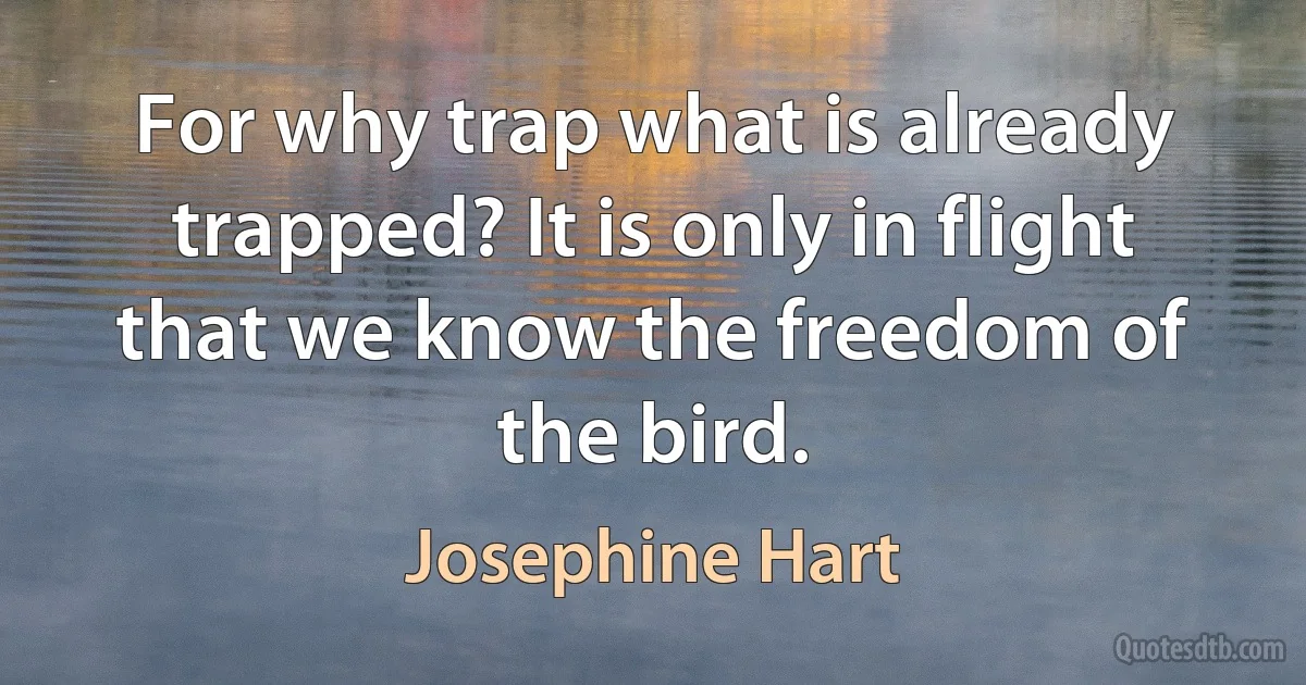 For why trap what is already trapped? It is only in flight that we know the freedom of the bird. (Josephine Hart)