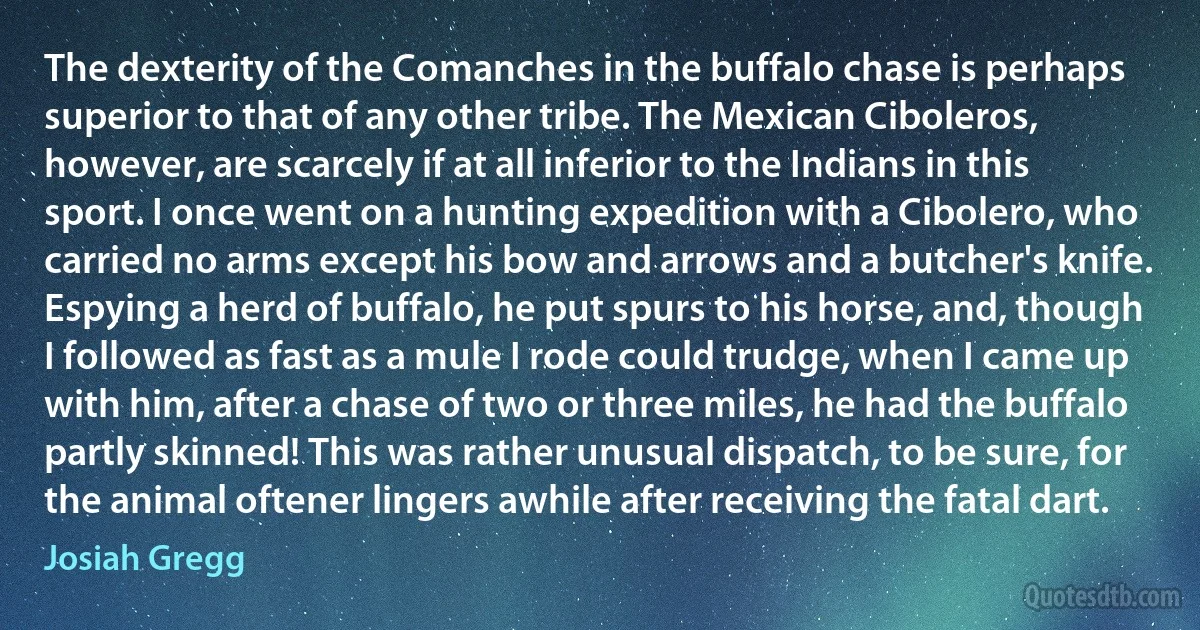 The dexterity of the Comanches in the buffalo chase is perhaps superior to that of any other tribe. The Mexican Ciboleros, however, are scarcely if at all inferior to the Indians in this sport. I once went on a hunting expedition with a Cibolero, who carried no arms except his bow and arrows and a butcher's knife. Espying a herd of buffalo, he put spurs to his horse, and, though I followed as fast as a mule I rode could trudge, when I came up with him, after a chase of two or three miles, he had the buffalo partly skinned! This was rather unusual dispatch, to be sure, for the animal oftener lingers awhile after receiving the fatal dart. (Josiah Gregg)