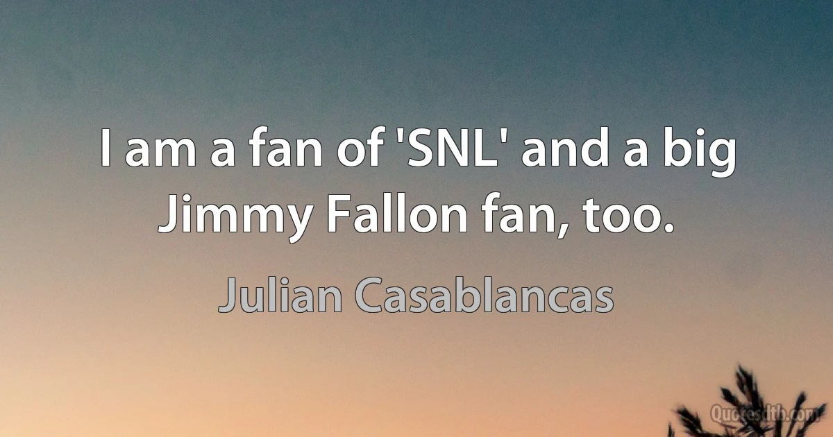 I am a fan of 'SNL' and a big Jimmy Fallon fan, too. (Julian Casablancas)