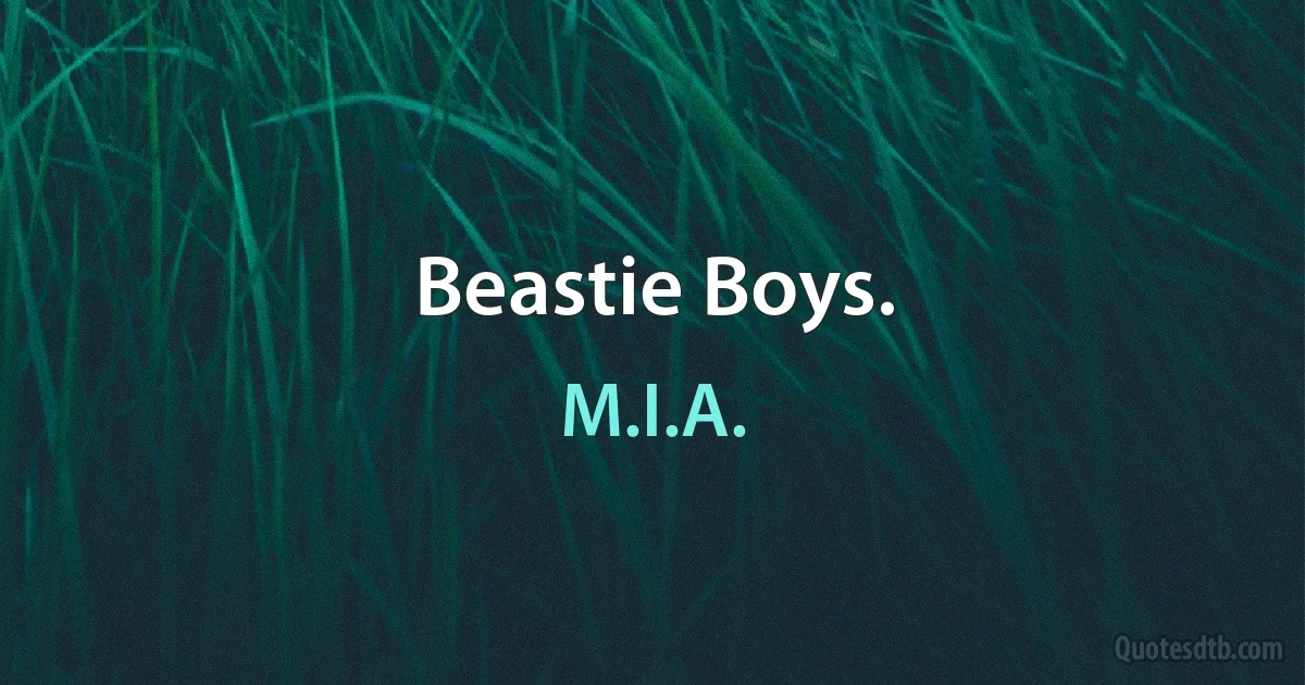 Beastie Boys. (M.I.A.)