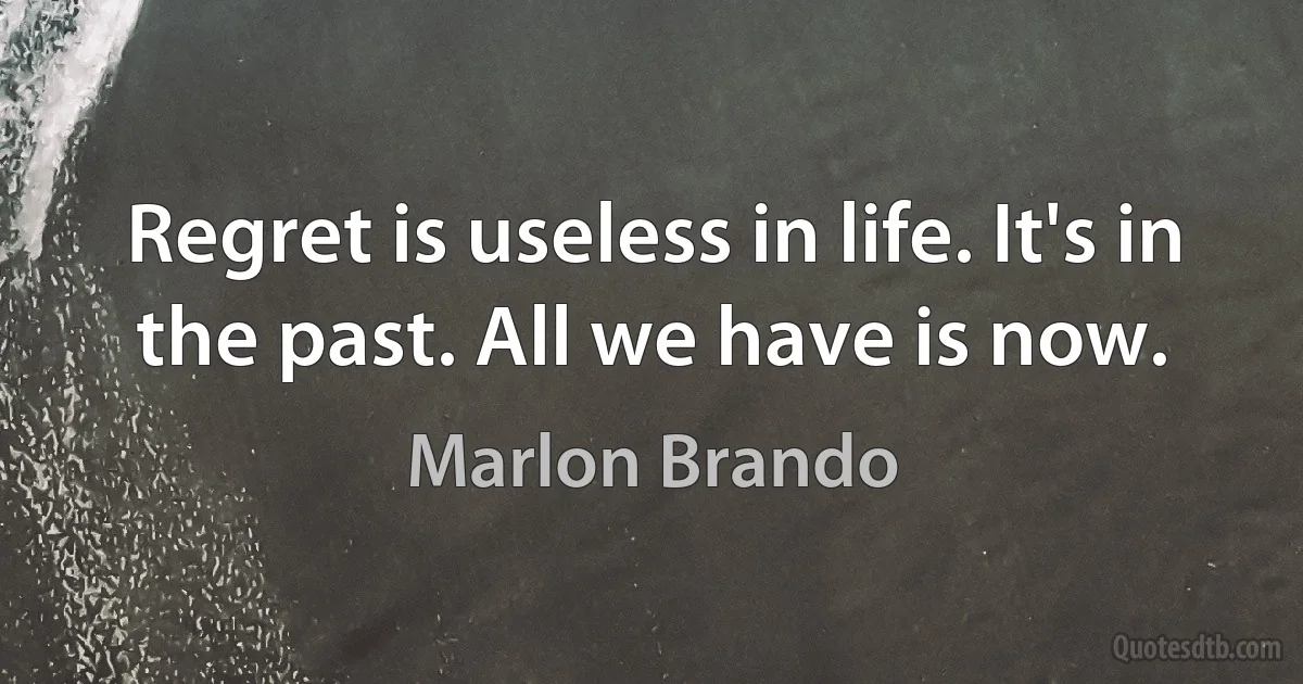 Regret is useless in life. It's in the past. All we have is now. (Marlon Brando)