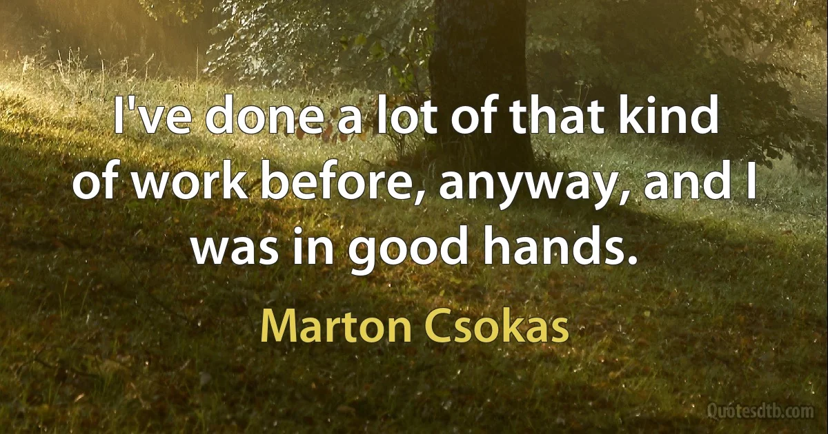 I've done a lot of that kind of work before, anyway, and I was in good hands. (Marton Csokas)