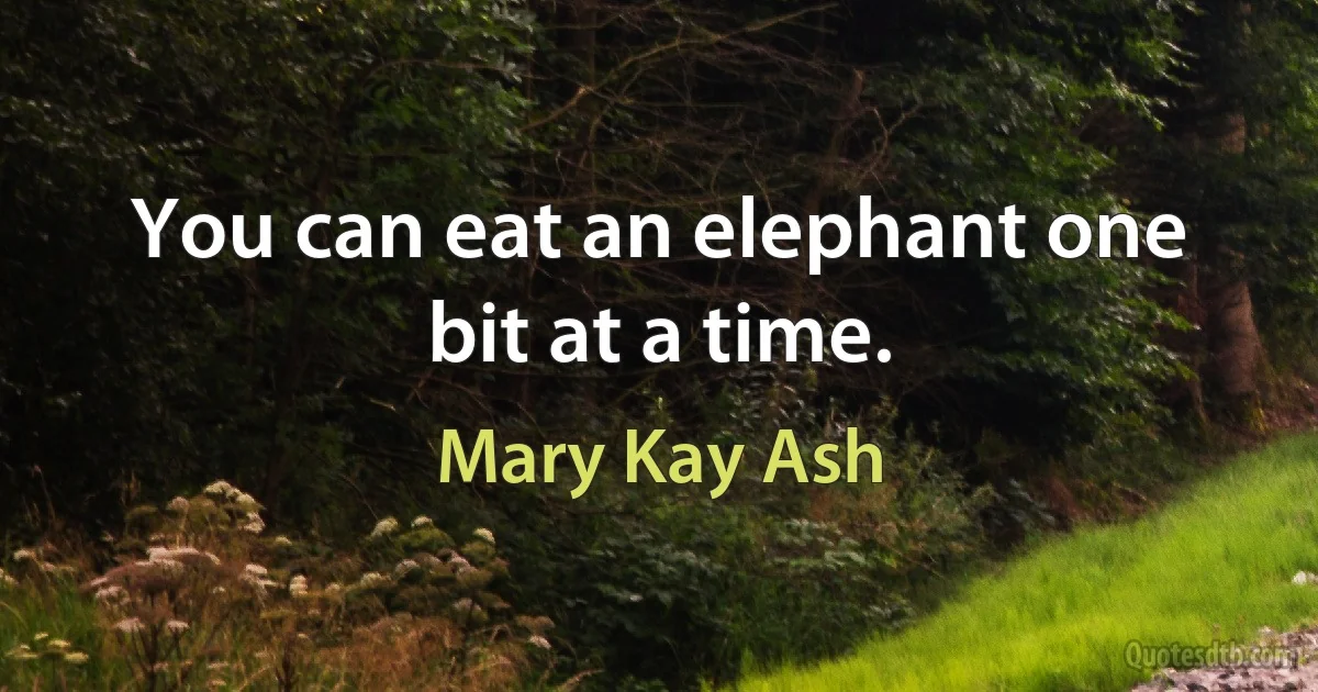 You can eat an elephant one bit at a time. (Mary Kay Ash)