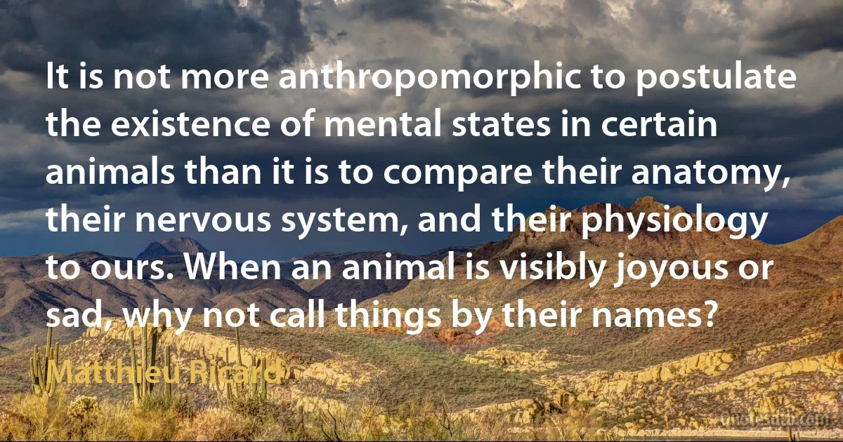 It is not more anthropomorphic to postulate the existence of mental states in certain animals than it is to compare their anatomy, their nervous system, and their physiology to ours. When an animal is visibly joyous or sad, why not call things by their names? (Matthieu Ricard)