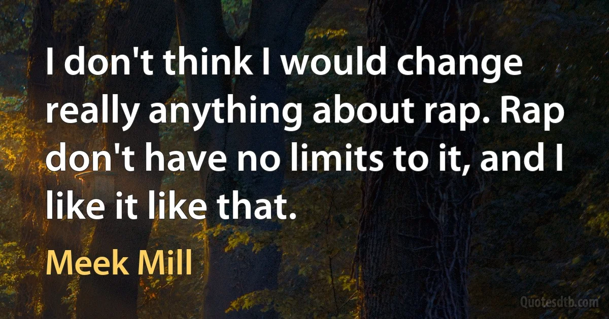 I don't think I would change really anything about rap. Rap don't have no limits to it, and I like it like that. (Meek Mill)