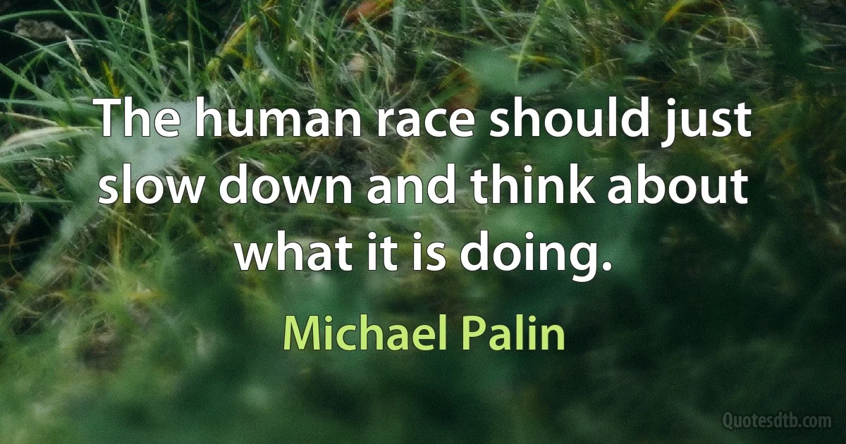 The human race should just slow down and think about what it is doing. (Michael Palin)