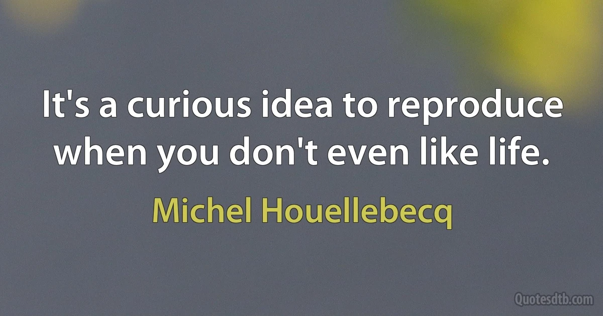 It's a curious idea to reproduce when you don't even like life. (Michel Houellebecq)