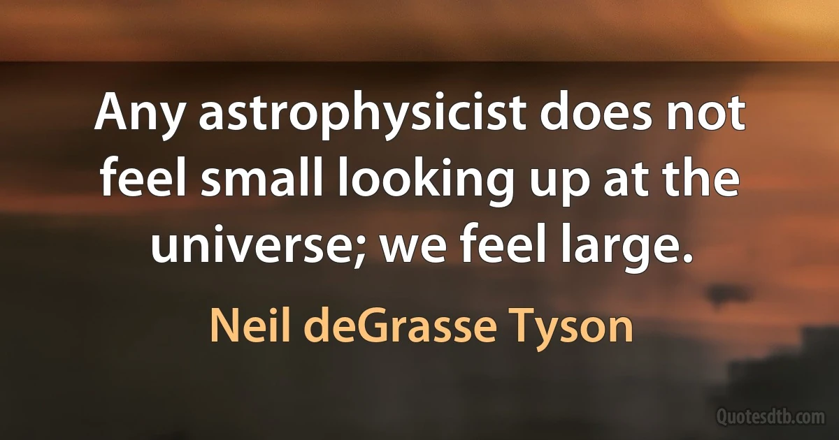 Any astrophysicist does not feel small looking up at the universe; we feel large. (Neil deGrasse Tyson)