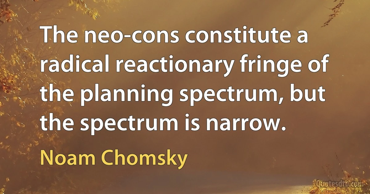 The neo-cons constitute a radical reactionary fringe of the planning spectrum, but the spectrum is narrow. (Noam Chomsky)