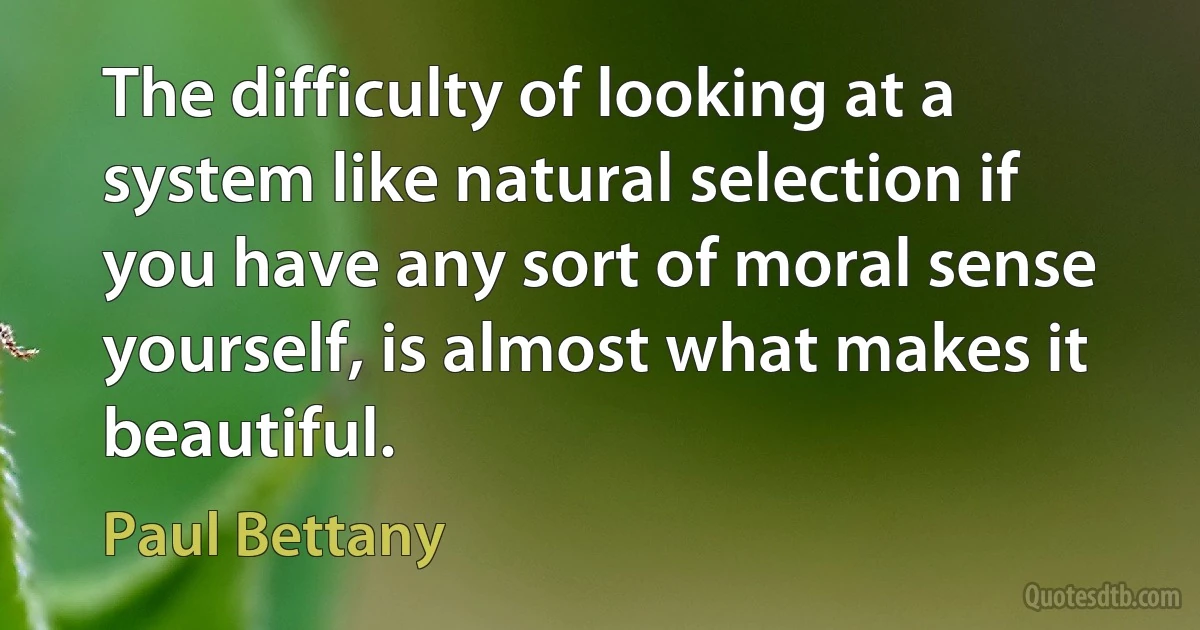 The difficulty of looking at a system like natural selection if you have any sort of moral sense yourself, is almost what makes it beautiful. (Paul Bettany)