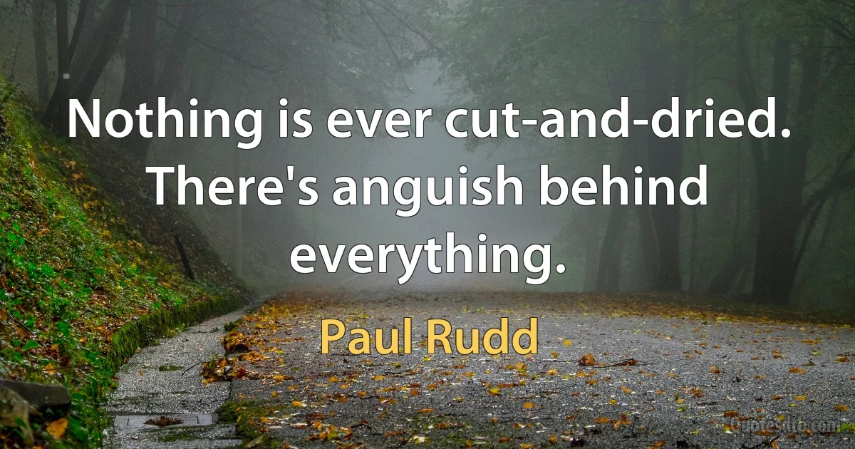 Nothing is ever cut-and-dried. There's anguish behind everything. (Paul Rudd)