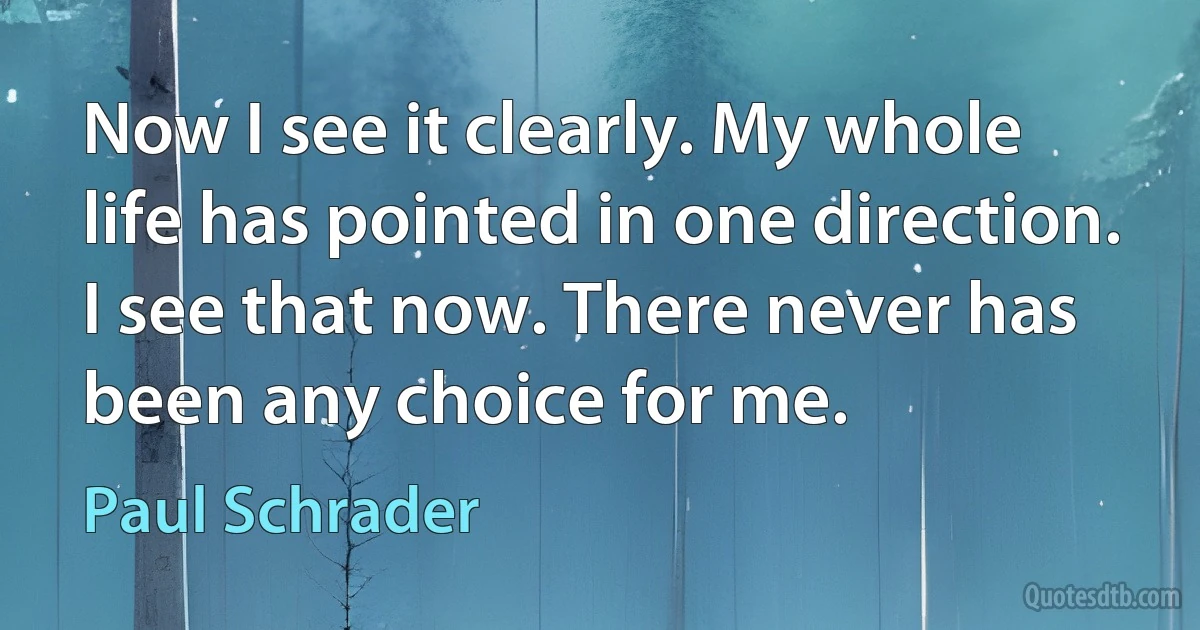 Now I see it clearly. My whole life has pointed in one direction. I see that now. There never has been any choice for me. (Paul Schrader)