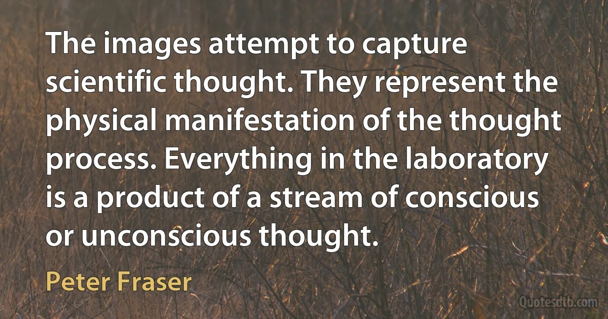 The images attempt to capture scientific thought. They represent the physical manifestation of the thought process. Everything in the laboratory is a product of a stream of conscious or unconscious thought. (Peter Fraser)