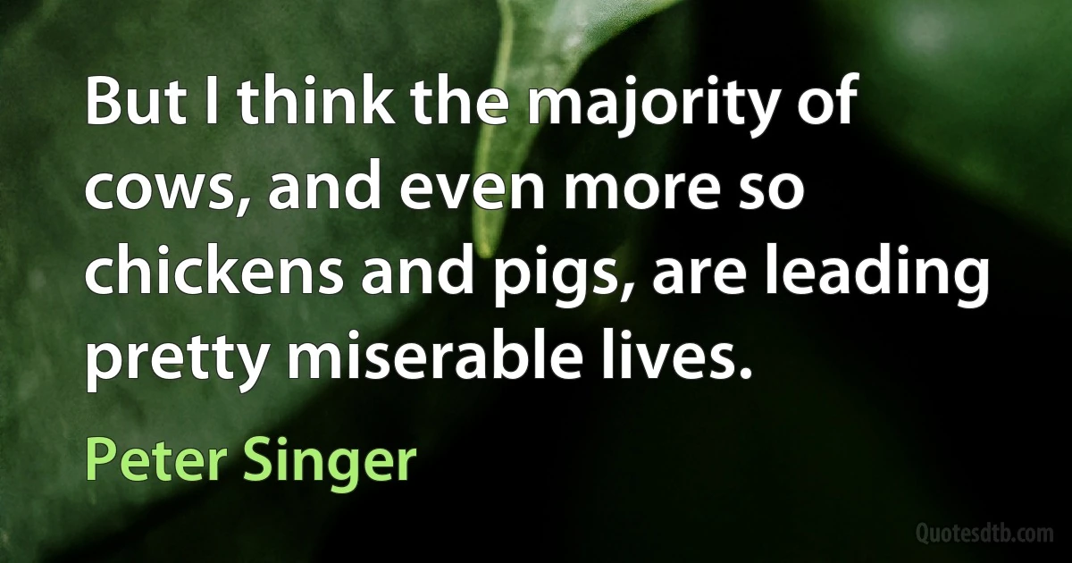 But I think the majority of cows, and even more so chickens and pigs, are leading pretty miserable lives. (Peter Singer)