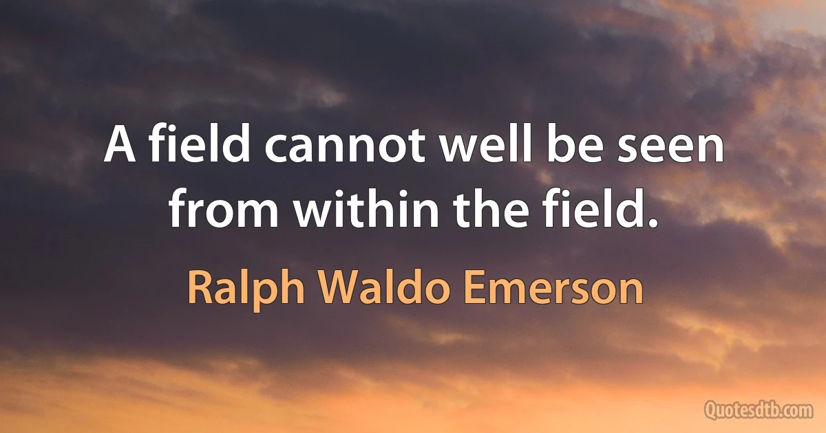 A field cannot well be seen from within the field. (Ralph Waldo Emerson)