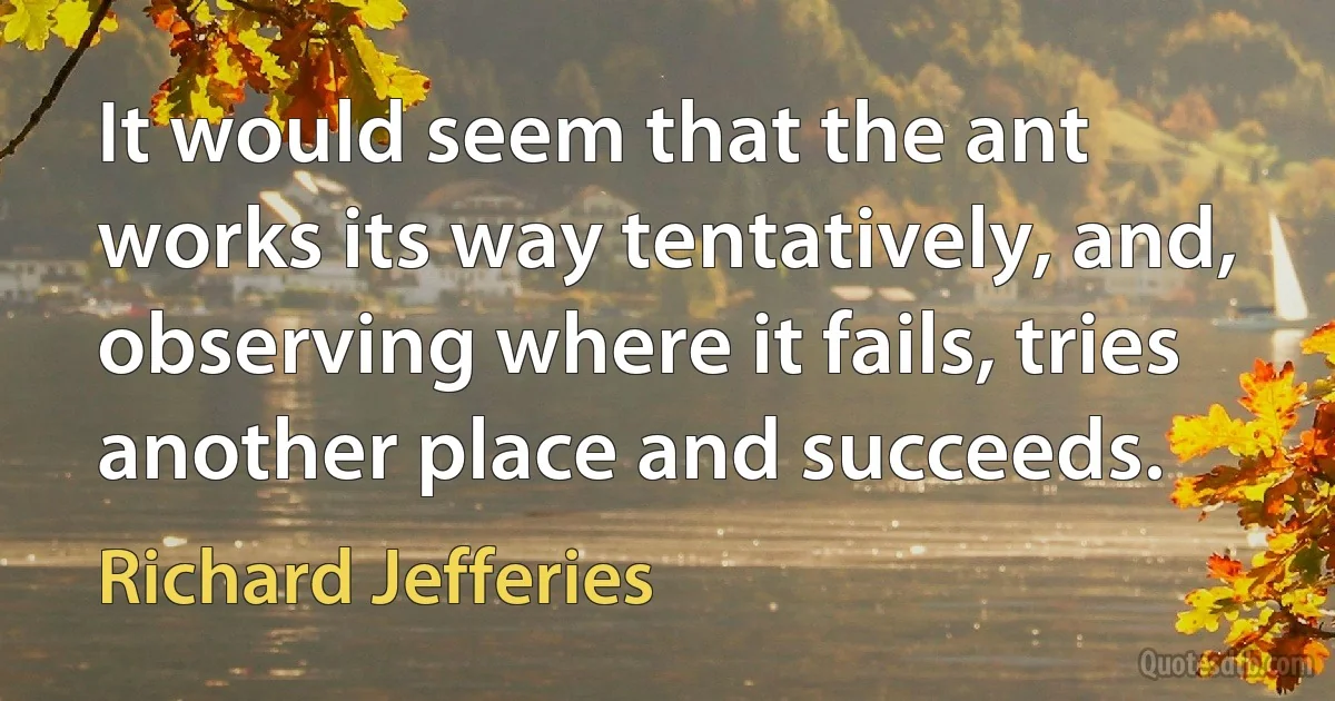 It would seem that the ant works its way tentatively, and, observing where it fails, tries another place and succeeds. (Richard Jefferies)