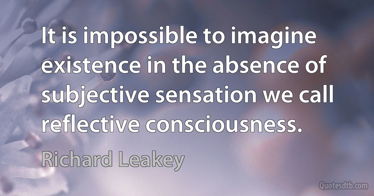 It is impossible to imagine existence in the absence of subjective sensation we call reflective consciousness. (Richard Leakey)