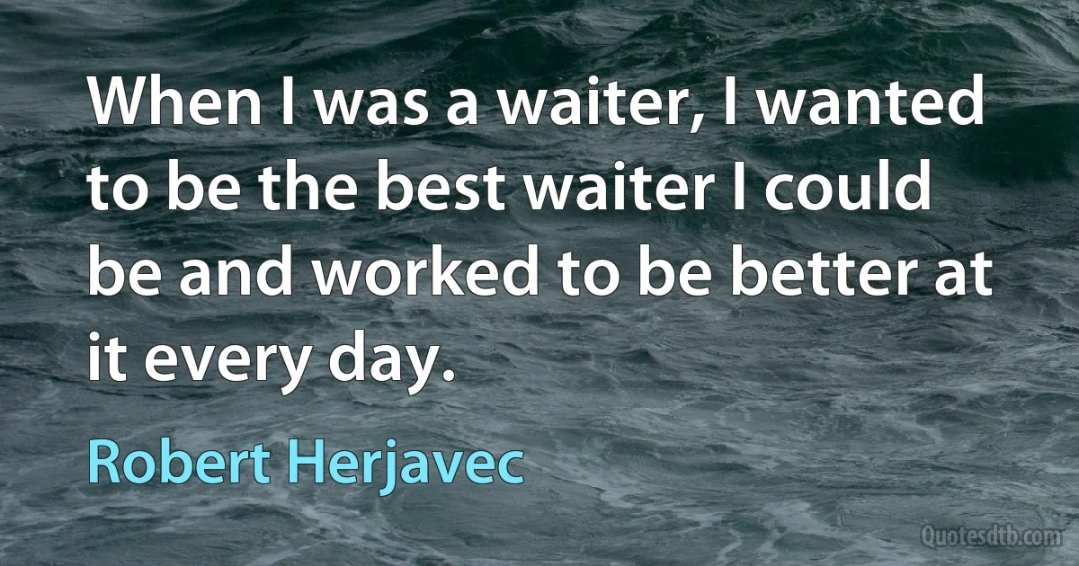 When I was a waiter, I wanted to be the best waiter I could be and worked to be better at it every day. (Robert Herjavec)