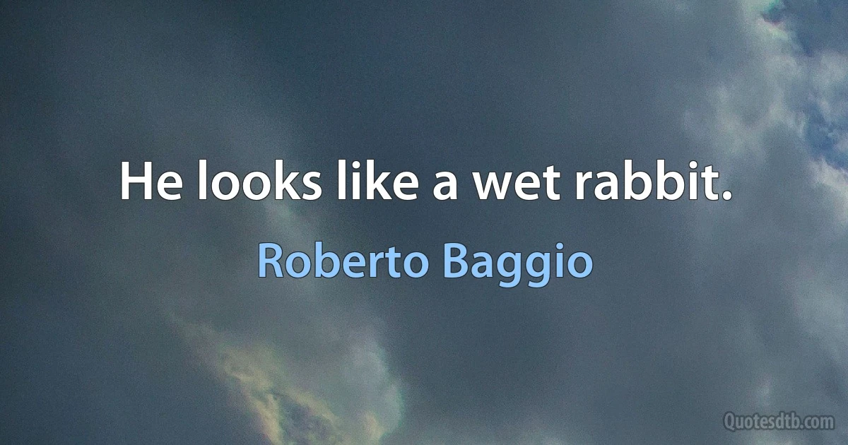 He looks like a wet rabbit. (Roberto Baggio)