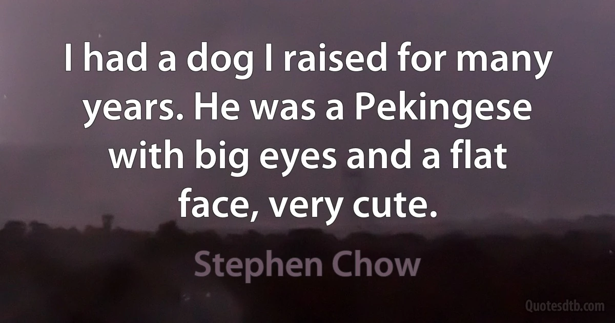 I had a dog I raised for many years. He was a Pekingese with big eyes and a flat face, very cute. (Stephen Chow)