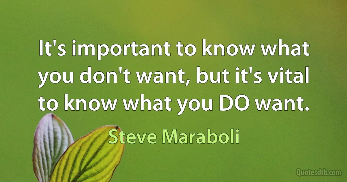 It's important to know what you don't want, but it's vital to know what you DO want. (Steve Maraboli)