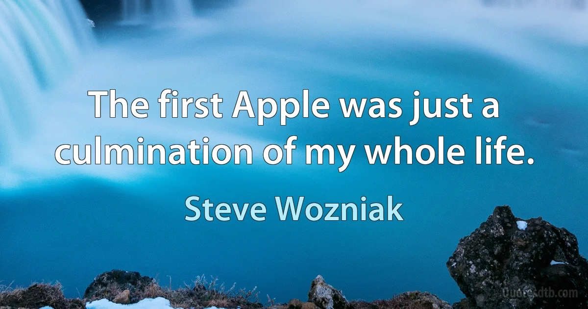 The first Apple was just a culmination of my whole life. (Steve Wozniak)