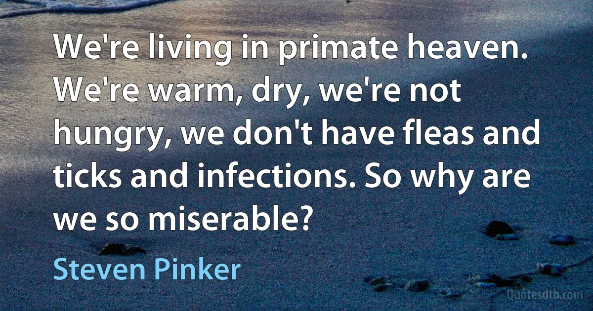 We're living in primate heaven. We're warm, dry, we're not hungry, we don't have fleas and ticks and infections. So why are we so miserable? (Steven Pinker)