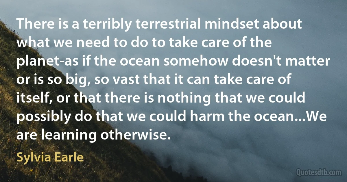 There is a terribly terrestrial mindset about what we need to do to take care of the planet-as if the ocean somehow doesn't matter or is so big, so vast that it can take care of itself, or that there is nothing that we could possibly do that we could harm the ocean...We are learning otherwise. (Sylvia Earle)