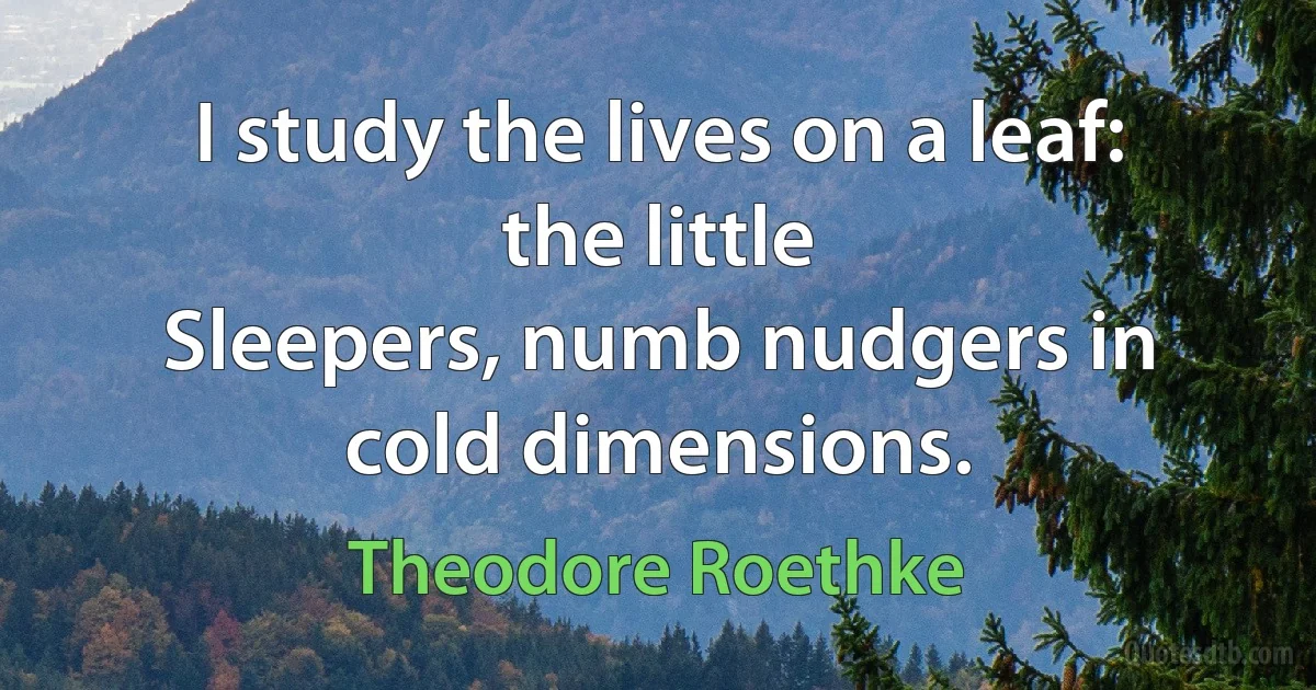 I study the lives on a leaf: the little
Sleepers, numb nudgers in cold dimensions. (Theodore Roethke)