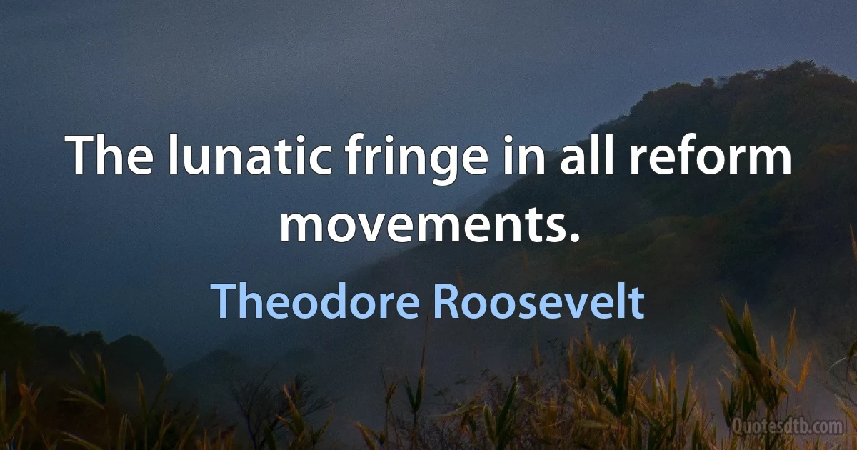 The lunatic fringe in all reform movements. (Theodore Roosevelt)